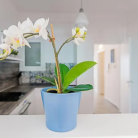 Apartamento Spacious Two Bedroom In Central Location Atenas